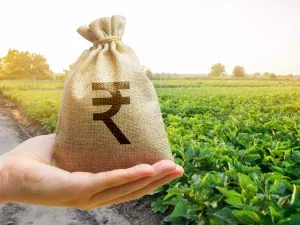 Farmer receiving crop advisory