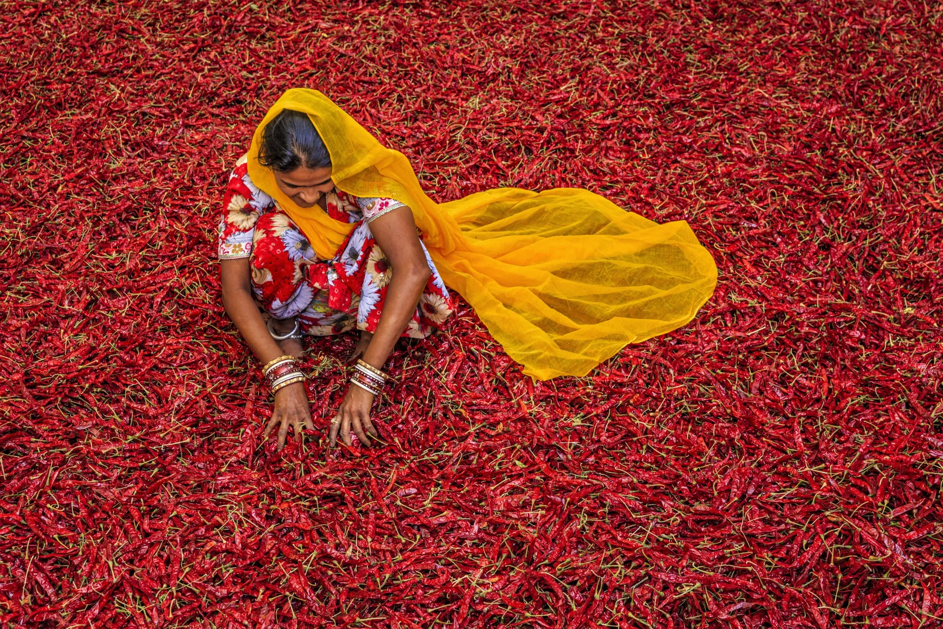 Sustainable farming in India